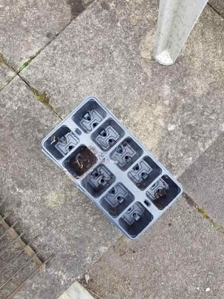 Photo of free Potting trays (Spring Park CR0) #1