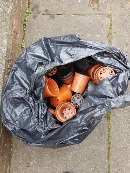 Photo of free Plastic flower pots (Spring Park CR0) #1