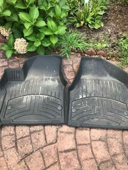 Photo of free 2020 pacifica floor mats (Troy) #1