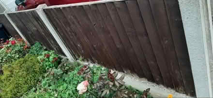 Photo of free 9 x 3 ft fence panels (Waddington LN5) #2