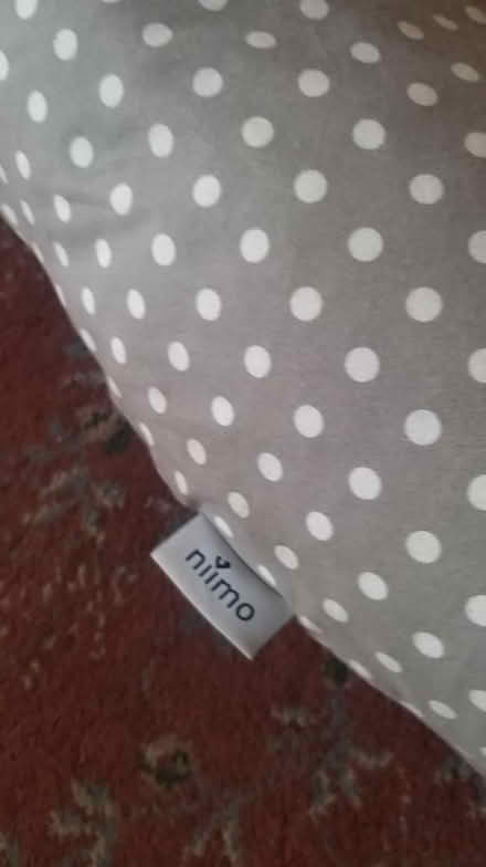 Photo of free Pregant support pillow (Leicester) #2