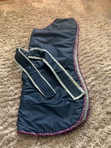 Photo of free Dog coat (NR34) #1