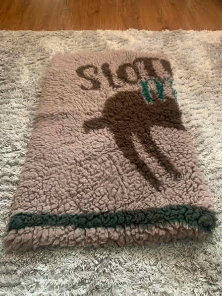 Photo of free Dog blanket (NR34) #1