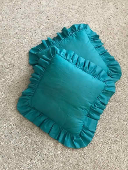 Photo of free 2 small pillows (Ann Arbor-Wagner/Scio Church) #1