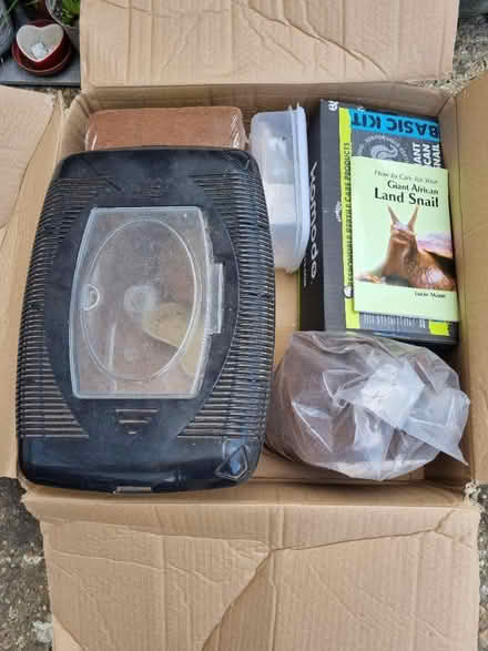Photo of free Items for pet snails (TW13, Hanworth) #1