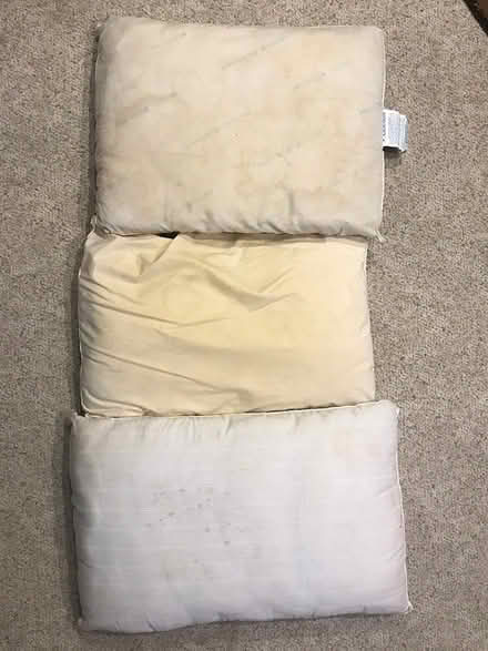 Photo of free Pillows (Ann Arbor-Wagner/Scio Church) #1