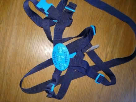 Photo of free Child's reins (Boothgate DE56) #1
