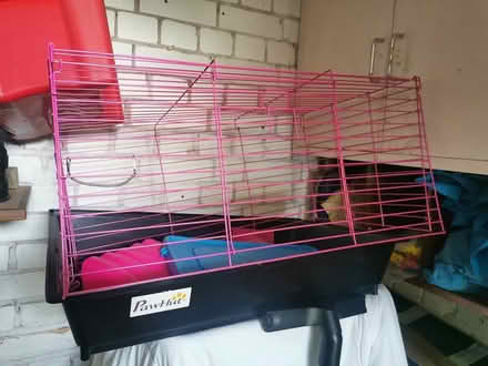Photo of free Guinea pig cage unused (Biggin hill) #1