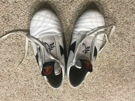 Photo of free Martial Arts shoes (Ann Arbor-Wagner/Scio Church) #1