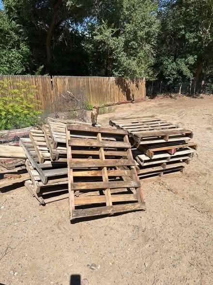 Photo of free Wood pallets (87042) #1