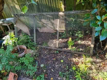 Photo of free Rabbit Run or Guinea Pig (Patcham BN1) #1