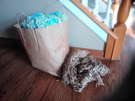 Photo of free colorful shredded paper (Fontenaix subdiv., Naperville) #2
