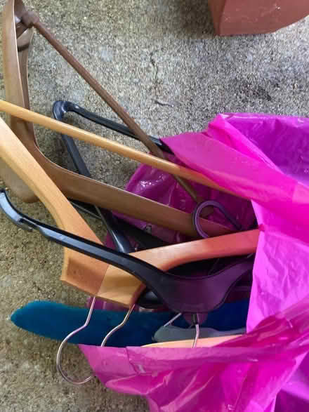 Photo of free Hangers..a mixture..lots..some wooden ones (Crowborough Warren TN6) #1