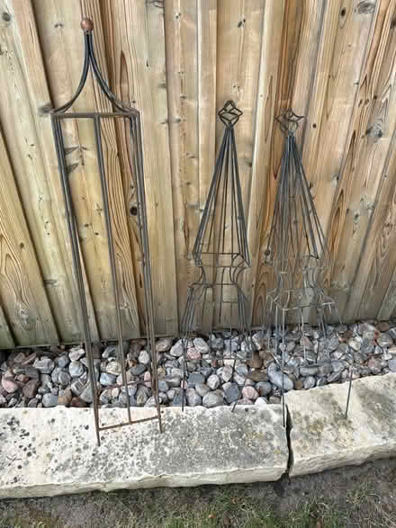 Photo of free Metal Plant Trellises (Aurora) #1