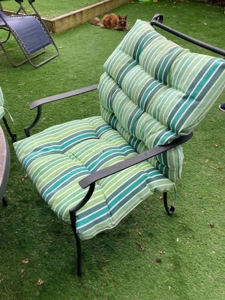 Photo of free Outside chair cushions (Queens Park BH8) #2