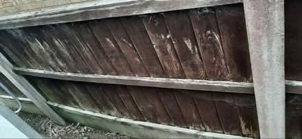 Photo of free 9 x 3 ft fence panels (Waddington LN5) #1
