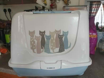 Photo of free Large cat litter tray (Beckton E6) #2