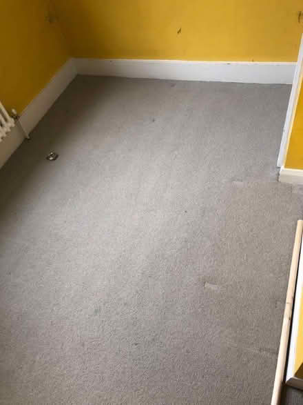 Photo of free CARPET with UNDERLAY 2.4 x 1.7ish metres (Watford Heath WD19) #2