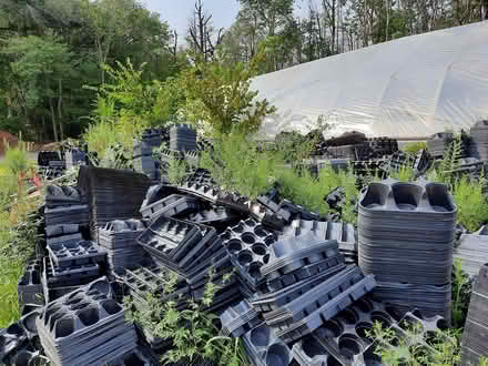 Photo of free Flower Pot Trays (Lakehurst) #1