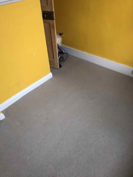 Photo of free CARPET with UNDERLAY 2.4 x 1.7ish metres (Watford Heath WD19) #1