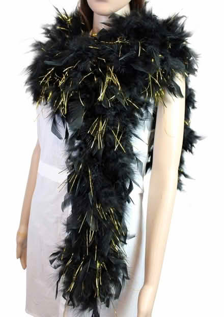 Photo of free Black and gold boa (Ridgewood, NJ) #3