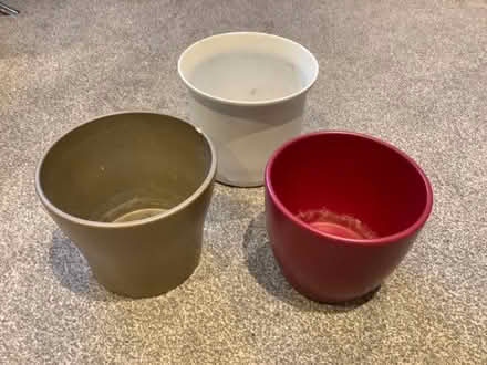 Photo of free Plant pots (Larkhall) #1