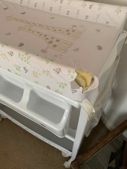 Photo of free Baby Changing trolley with bath (Golberdon PL17) #3