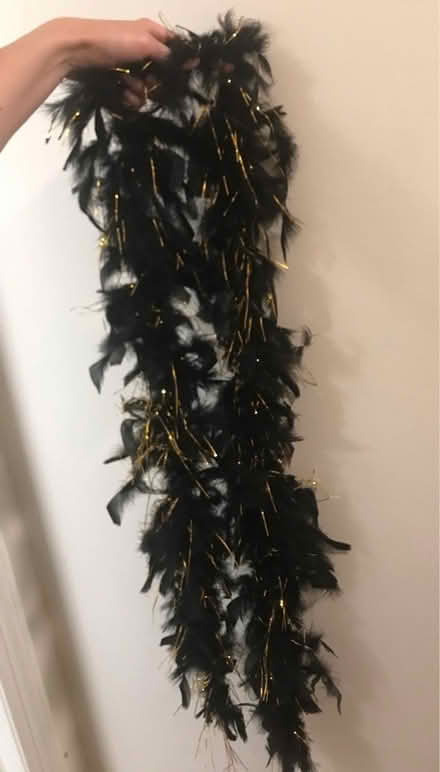 Photo of free Black and gold boa (Ridgewood, NJ) #1
