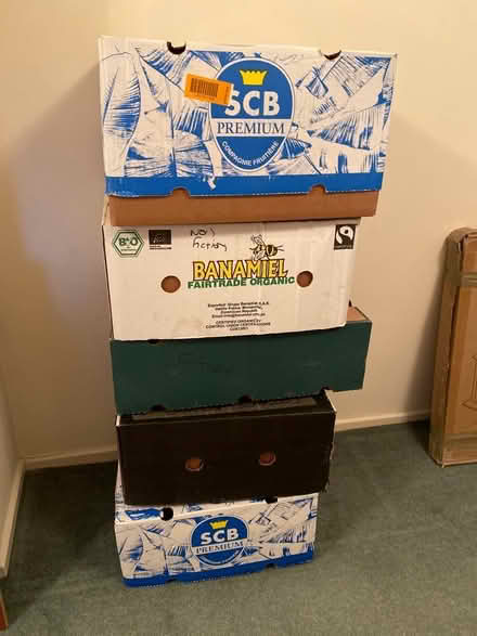 Photo of free 5 banana boxes (Letchworth SG6) #1