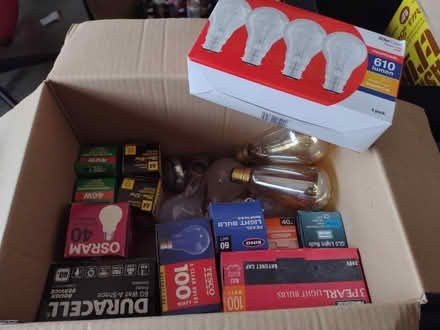 Photo of free Light bulbs (Parkstone BH12) #1