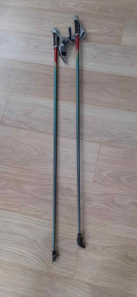 Photo of free Nordic Walking Poles (Anstey LE7) #1
