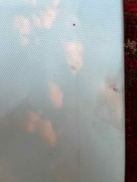 Photo of free Picture/ wall art (Sheffield, S7) #4