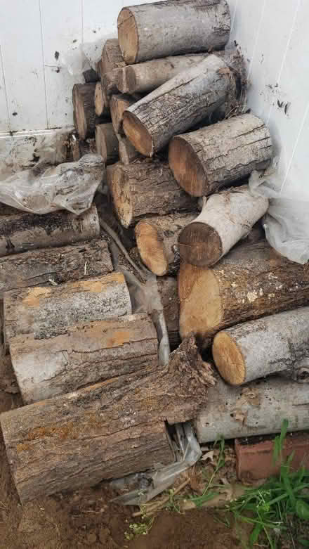 Photo of free Wood logs (Fair Lawn, NJ) #1