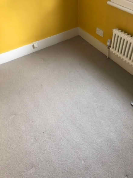 Photo of free CARPET with UNDERLAY 2.4 x 1.7ish metres (Watford Heath WD19) #4