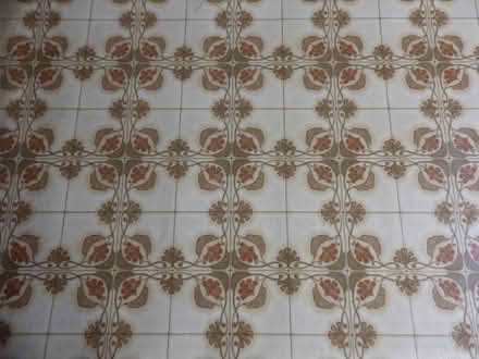 Photo of free Lino (Handsworth S13) #1