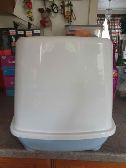 Photo of free Large cat litter tray (Beckton E6) #3