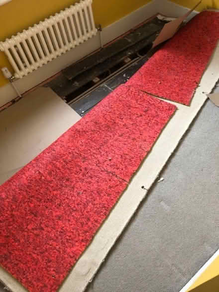 Photo of free CARPET with UNDERLAY 2.4 x 1.7ish metres (Watford Heath WD19) #3