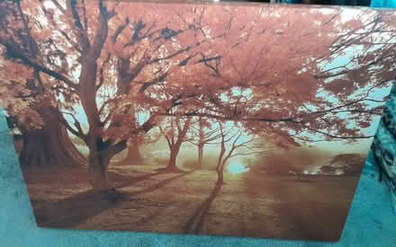 Photo of free Canvas Print (North Shields) #1