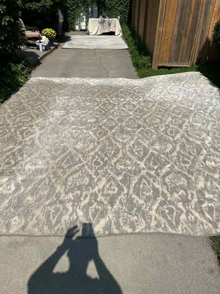Photo of free Beautiful area rug (Port Credit) #4