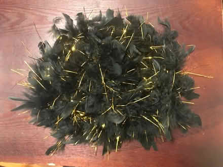 Photo of free Black and gold boa (Ridgewood, NJ) #2