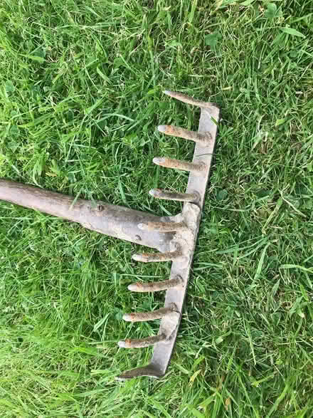 Photo of free Garden Rake (Coal Aston S18) #1