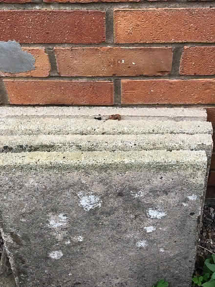 Photo of free Slabs (Shrewsbury) #1