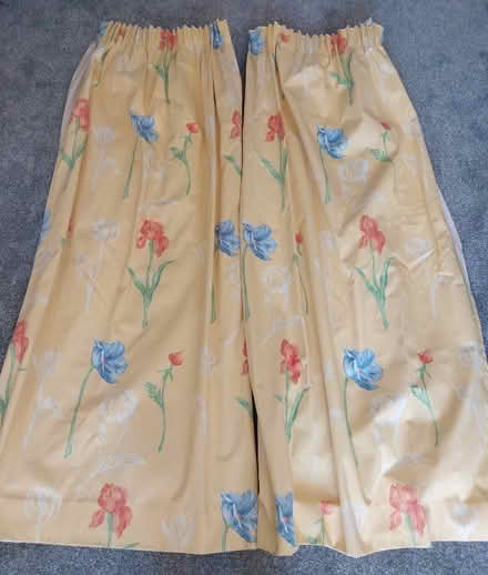 Photo of free Curtains (New Duston) #1