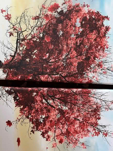Photo of free Picture/ wall art (Sheffield, S7) #3