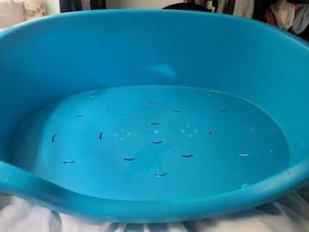 Photo of free Dog/cat beds x2 - ME1 (ME1) #1