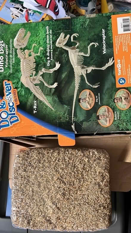 Photo of free Dinosaur dig set (Roselle Park) #2