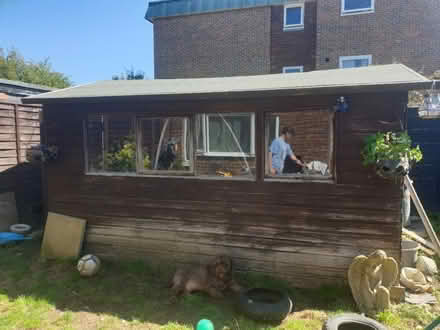Photo of free Shed (Eastbourne BN21) #1