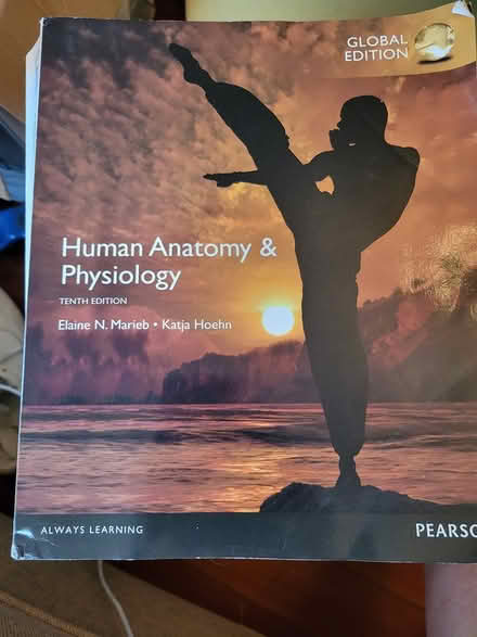 Photo of free A and P book (Roxbury) #1