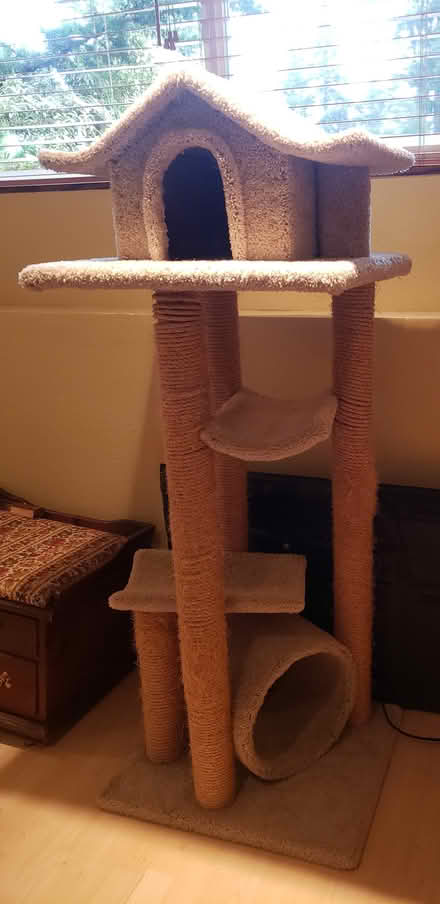 Photo of free Cat condo (Finn Hill) #1