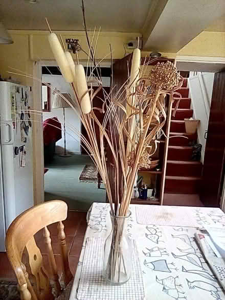 Photo of free Dried flower/seed arrangement (Chirk Bank LL14) #1